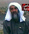 Бин Ладен и талибы вновь в эфире