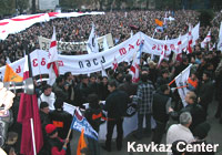 Митинг в Грузии принимает перманентный характер