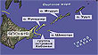 СКАНДАЛ. Японцы предложили России поделить Курильские острова