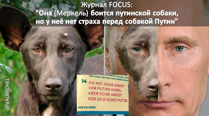 Путина начали называть собакой. Но он не собака. Собаки не бывают садистами, они не тащатся от своей жестокости