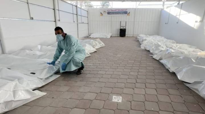 Завязанные глаза, связанные руки, изувеченные тела казнённых