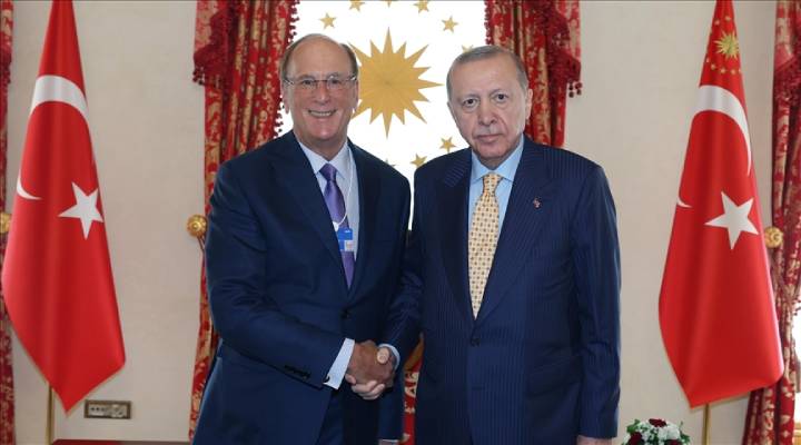 Зачем глава BlackRock приезжал в Турцию